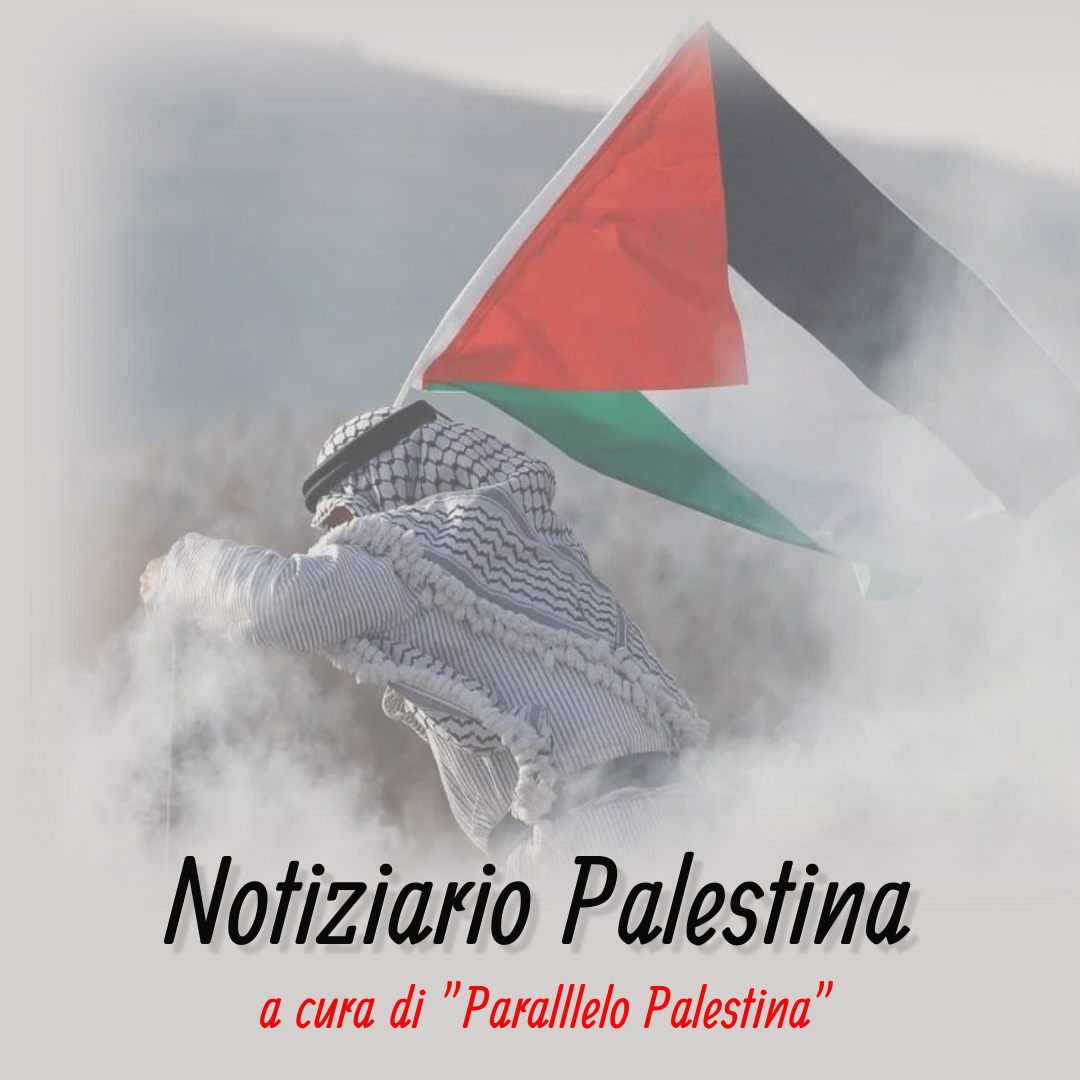 Notiziario Palestina